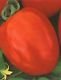 Rio Grande Tomato Seeds - 50
