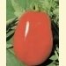 Roma Chico III Tomato Seeds - 50