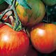 Tigerella Tomato Seeds - 50