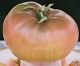 Cherokee Purple Tomato Seeds - 50