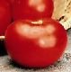 Marion Tomato Seeds - 50