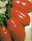 San Marzano Tomato Seeds - 50