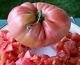 Giant Belgium Pink Tomato Seeds - 50