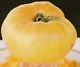 Kelloggs Breakfast Tomato Seeds - 50