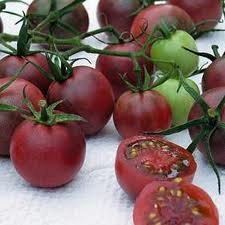Black Cherry Tomato Seeds - 30