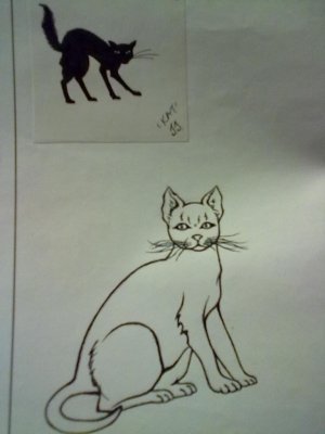 Black Cat