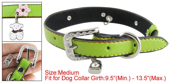 Pet Dog Sz M Green Faux Leather Band Personalized Collar
