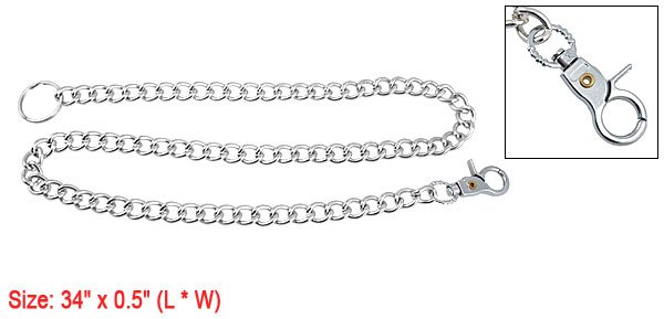 Adjustable Silver Tone Alloy Chain Leash Kit for Dog Pet Training