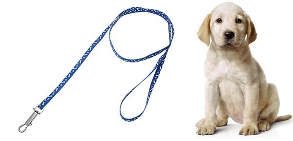 Blue Puppy Pet Dog Pulling Leash with Bones Pattern