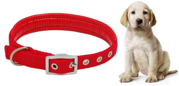 Red Dog Pet Neck Collar Leather Band Strap w Buckle