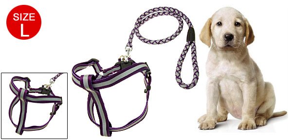 Purple Step-In Nylon Puppy Pet Safe Reflective Harness and Leash Set