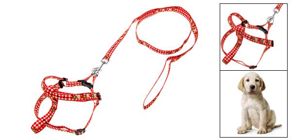 Nylon Pet Doggie Doggle Puppy Dog Adjustable Collar and Leash Set