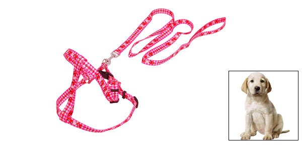 Pet Doggie Doggle Puppy Dog Adjustable Nylon Collar and Leash Set