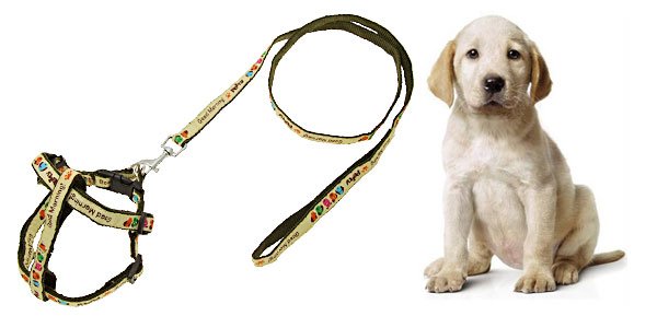 Army Green Color Nylon Dog Pet's Leash Lead & Harness