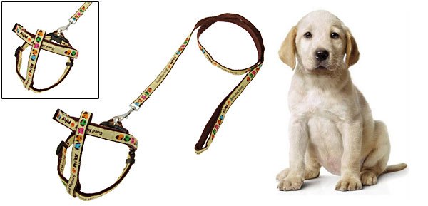 Lovely Dog Pet's Nylon Leash Lead & Harness 45"