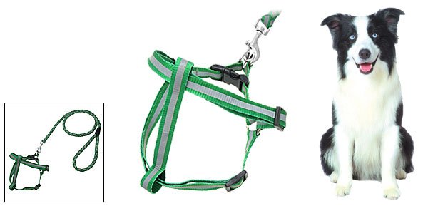 Step-In Nylon Dog Pet Safe Reflective Harness and Leash Set- Medium