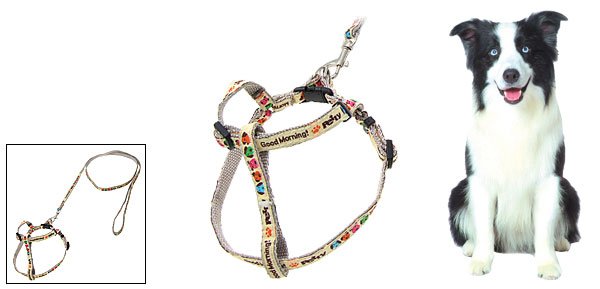 Gray Cartoon Pet Dog Nylon Pulling Harness Leash Rope