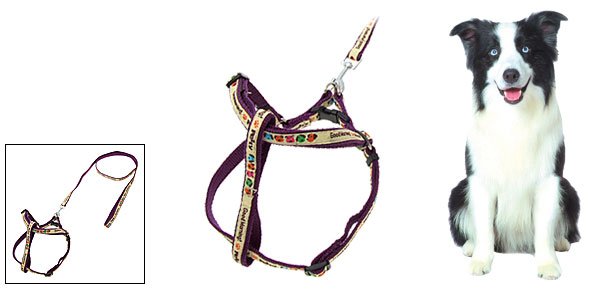 Purple Cartoon Pet Dog Nylon Pulling Harness Leash Rope