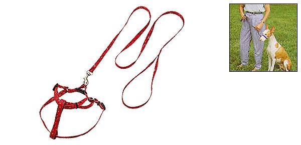 Red Pet Dog Nylon Adjustable Pulling Harness and Round Leash Small Size
