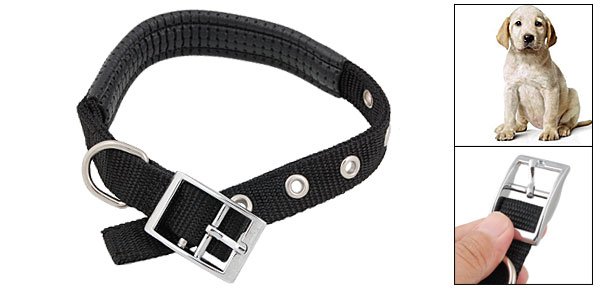 Black Leather Padded Adjustable Nylon Pet Dog Collar Medium