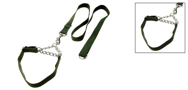 Olive Green Nylon Dog Adjustable Collar and Leash Set Small