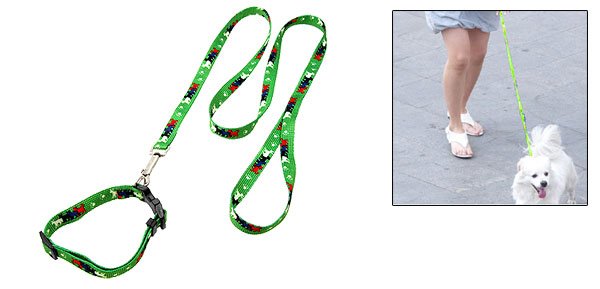 Green Nylon Adjustable Collar and Leash Set for Small Dog