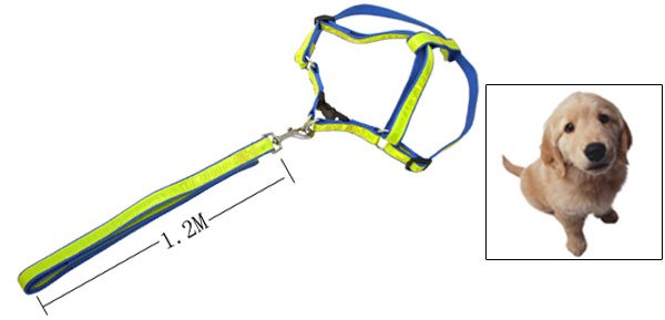 Fashion Nylon Pet Dog Harness and Leash Set Blue and Yellow