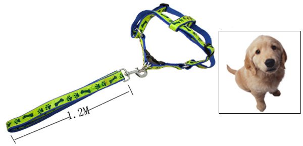 Cool Paws Bones Design Nylon Pet Dog Harness and Leash Set Blue