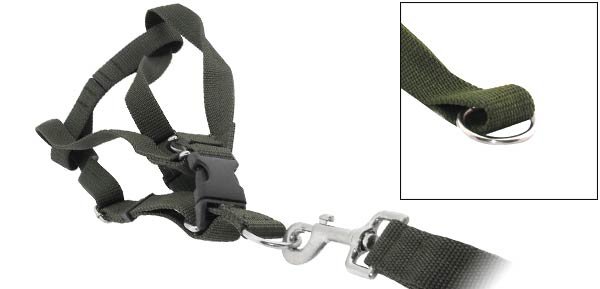 DOG Web Collar Harness Leash Strap for Large dogs - Army Green