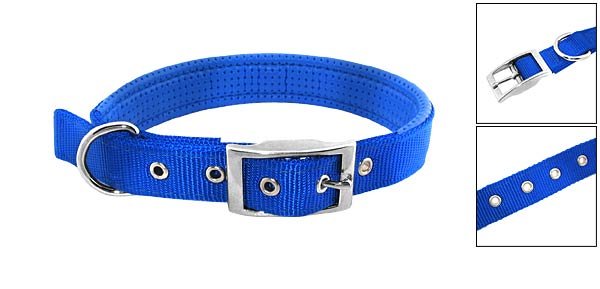 Tropical Blue Soft Leather High Strength Nylon Dog Collar Strap - Medium Size