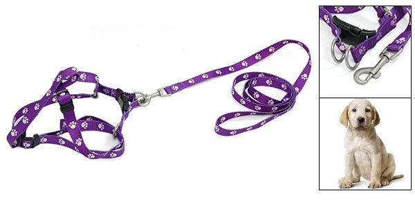 DOG Web Collar Harness Leash Strap for Small dogs - Moshi Moro Purple