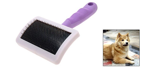 Pet Dog Cat Bristles Grooming Brush w/Purple Handle