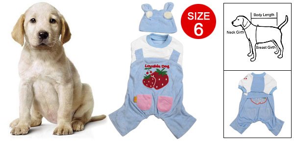 Sz 6 Strawberry Pattern Blue White Jumpsuit with Hat for Dog