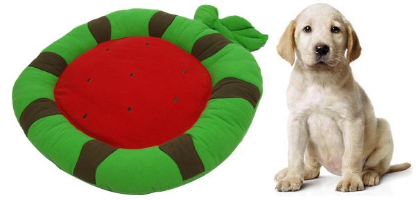 Eco-Friendly Fruit Pattern Pet Dog Doggle Doggie Puppy Bed Mat