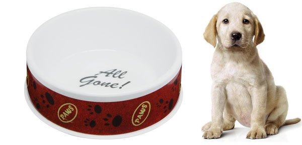 Paws Design Cat Dog Pet Solid Plastic Water Food Bowl