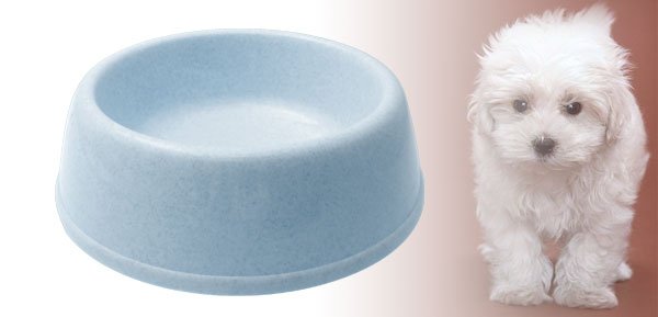 Cat Dog Pet Round Solid Plastic Water Food Feeder Bowl Dish Blue
