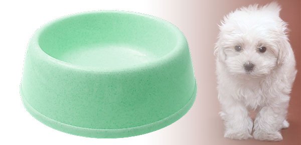 Pet Cat Dog Round Solid Plastic Water Food Feeder Bowl Dish