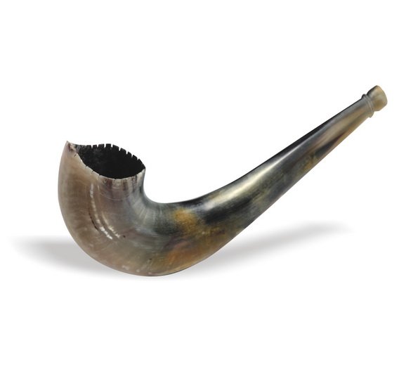 86124 - MAROCAN SHOFAR #5,XXL SIZE 44-46CM- BEST QUALITY from israel- 4 ROSH HASHANA