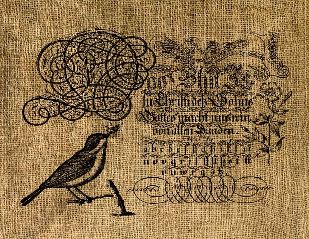 Vintage, Altered, Ephemera, Iron On, Bird Digital Image No.17