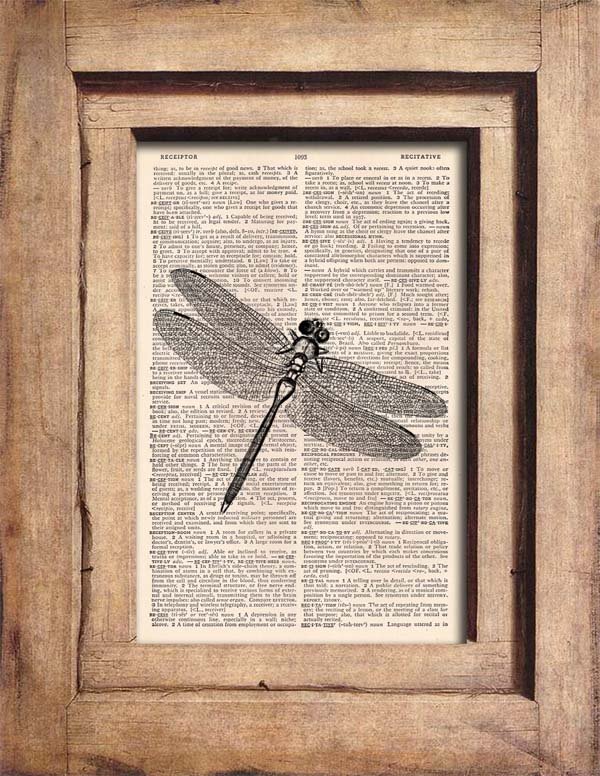 Vintage Dragonfly Dictionary Page Print 0062