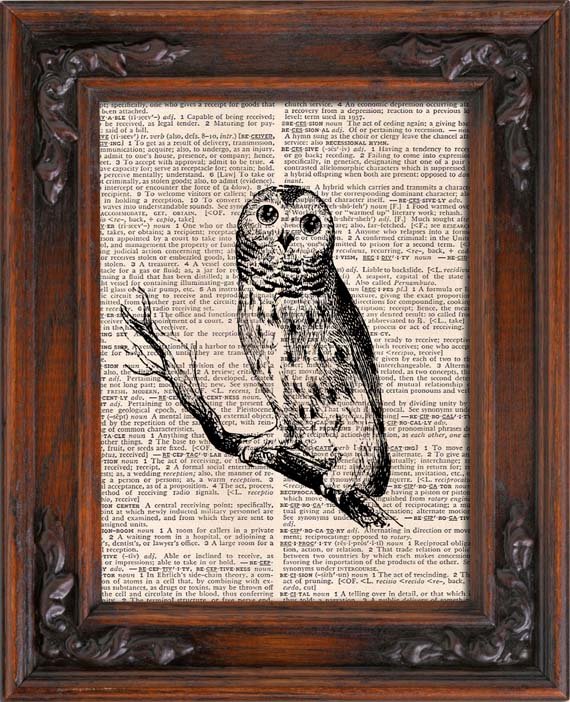 Art Print, VINTAGE OWL, Vintage, Dictionary Page Print 0128