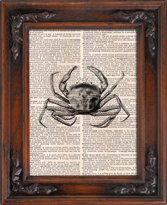 Art Print, CRAB, Vintage, Dictionary Page Print 0120