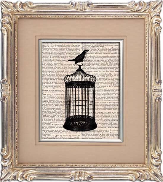 Art Print, BIRD , BIRDCAGE, Vintage, Dictionary Page Print 0118