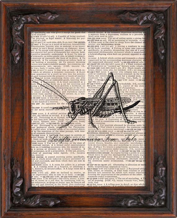 Art Print, GRASSHOPPER, Vintage, Dictionary Page Print 0117