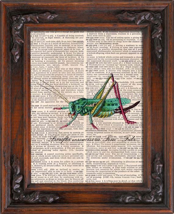 Art Print, GRASSHOPPER, Vintage, Dictionary Page Print 0116