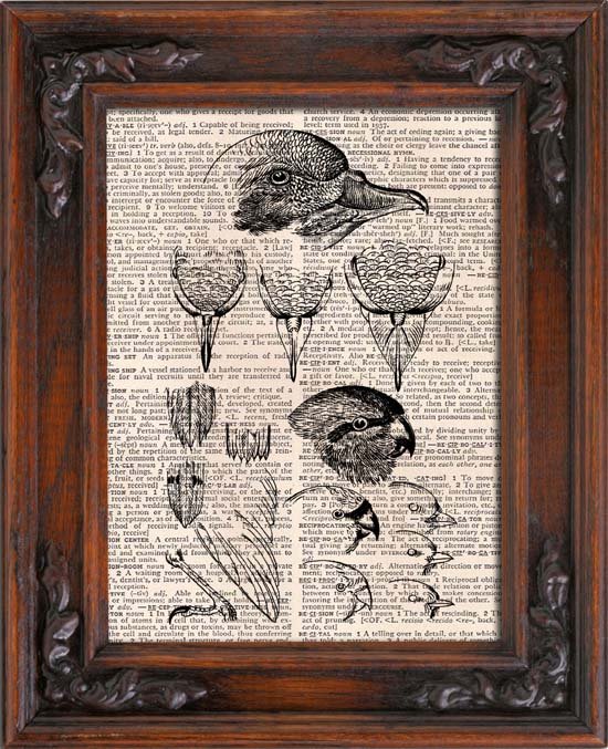 Art Print, Vintage, Birds Anatomical, Dictionary Page Print 0108