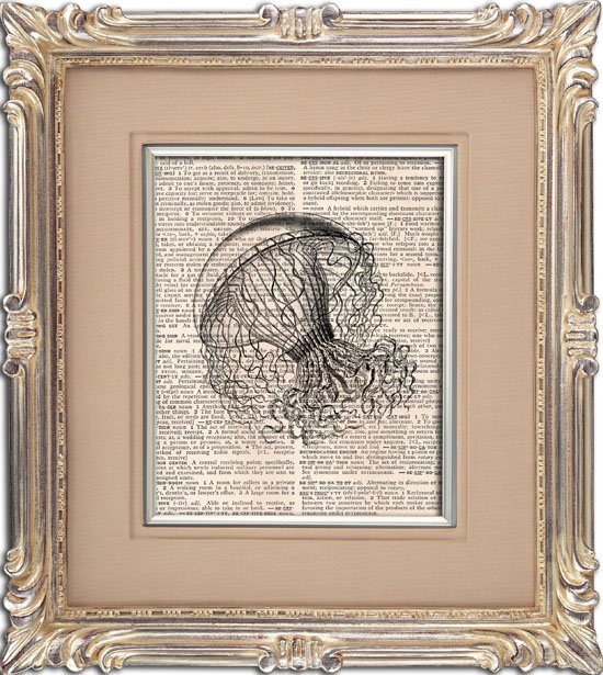 Art Print, Vintage, JELLYFISH, Dictionary Page Print 0107