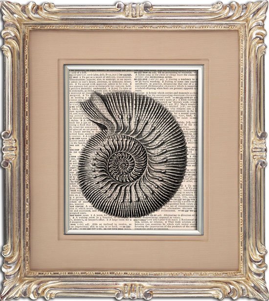 Art Print, Vintage, SEASHELL, Dictionary Page Print 0106