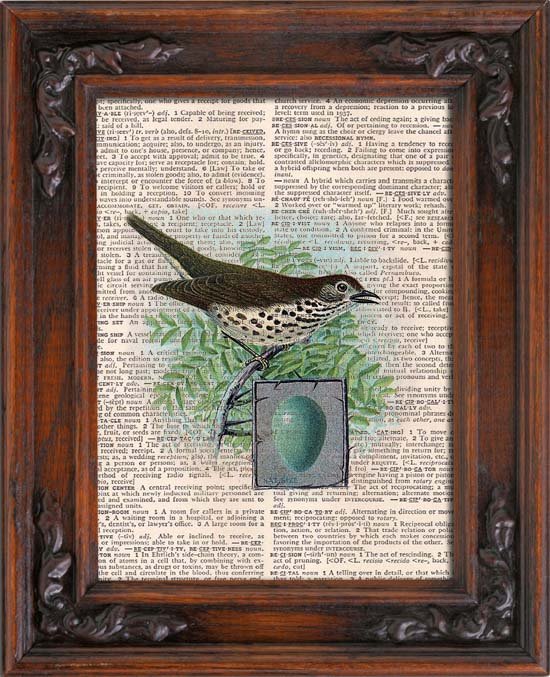 Art Print, Vintage, BIRD AND EGG, Dictionary Page Print 0103