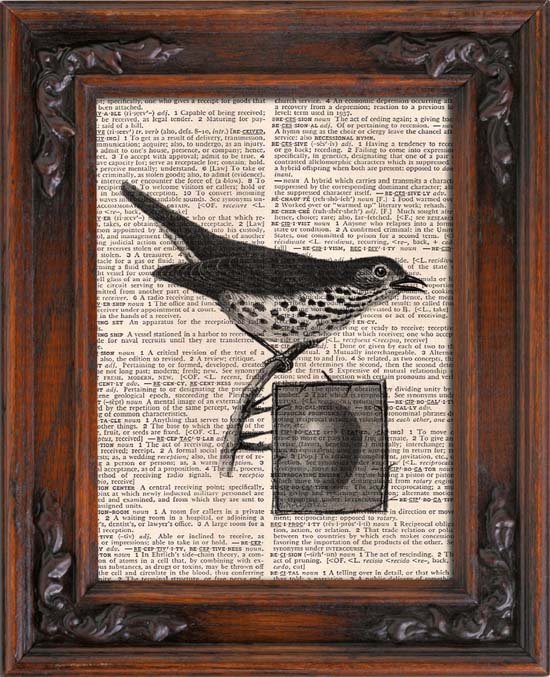 Art Print, Vintage, BIRD AND EGG, Dictionary Page Print 0102